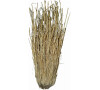Lucky Reptile Grass Bushes