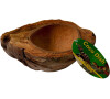 Lucky Reptile Coco Dish cca 22,2x15x6 cm