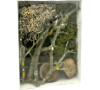 Lucky Reptile Deco Set Jungle