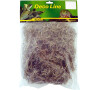 Lucky Reptile Spanish Moss 50g