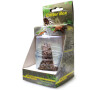 Lucky Reptile Critter Box