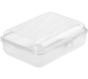 ROTHO Svačinový box FUN 1,25L