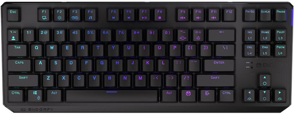 Endorfy herní klávesnice Thock TKL Wireless Black / RGB / black sw. / bezdrátová / mechanická / US layout / černá (EY5A081)