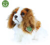 Rappa Plyšový pes king charles španěl 25 cm