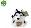 Rappa Plyšový pes Husky 17 cm ECO-FRIENDLY