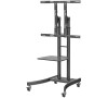 Neomounts PLASMA-M2000E / Mobile Flat Screen Floor Stand (height: 115-185 cm) / Black
