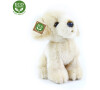 Rappa Plyšový pes labrador 18 cm ECO-FRIENDLY