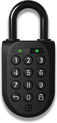 Chytrý zámek Igloohome Padlock 2