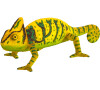 Mojo Chameleón
