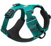 Postroj pre psy Ruffwear Front Range-aurora-teal-S