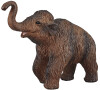 Mojo Mamut mládě