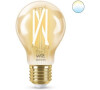 WiZ LED rovka filament amber E27 A60 7W 640lm 2000-5000K IP20, stmvateln