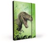 Desky na sešity P + P Karton A4 T-Rex