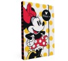 Desky na sešity P + P Karton A4 Minnie
