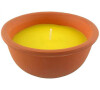 Svíčka vonná Citronella 220g TES