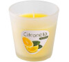 Svíčka vonná Citronella 80g TES