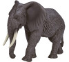 Mojo Slon africký