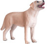 Mojo Labrador