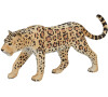 Mojo Leopard