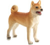 Mojo Pes Shiba Inu