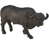 Mojo Buvol africký