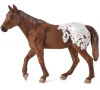 Mojo Appaloosa hřebec hnědý