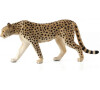 Mojo Gepard