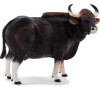 Mojo Gaur býk