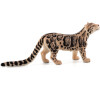 Mojo Leopard číhající