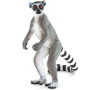 Mojo Lemur kata