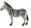Mojo Zebra