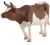 Mojo Simmental skot