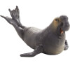 Mojo Rypouš sloní