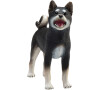 Mojo Pes Shiba Inu černý