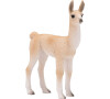 Mojo Lama mládě