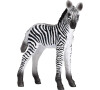 Mojo Zebra mládě novinka
