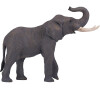 Mojo Slon africký