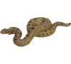 Mojo Anaconda