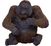 Mojo Orangutan