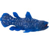 Mojo Coelacanth