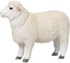 Mojo Ovečka romney ram