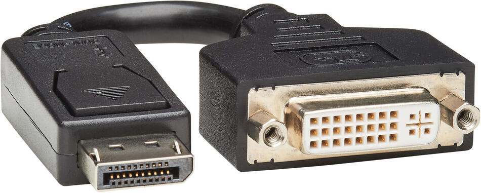 EATON video adaptér DisplayPort / DVI (Samec/Samice), 15.2cm (P134-000)