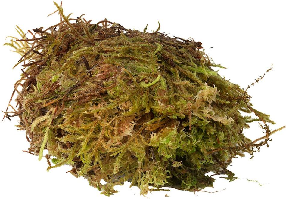 HabiStat Sphagnum Moss 1kg