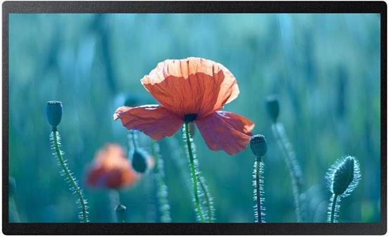 24" LED Samsung QB24C-FHD,300cd,MI,16/7 (LH24QBCEBGCXEN)