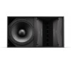 BOSE ArenaMatch AM20 loudspeaker 100x20