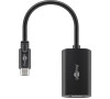 Adaptér GOOBAY 51773 USB-C/DisplayPort 0,2m