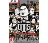 Hra PC Sleeping Dogs (kupon pro stažení hry)