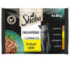 Sheba kapsa Delikatesse drůbeží výběr 4x85g