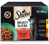 Sheba kapsa Select Slices šťavnatý výběr 12x85g
