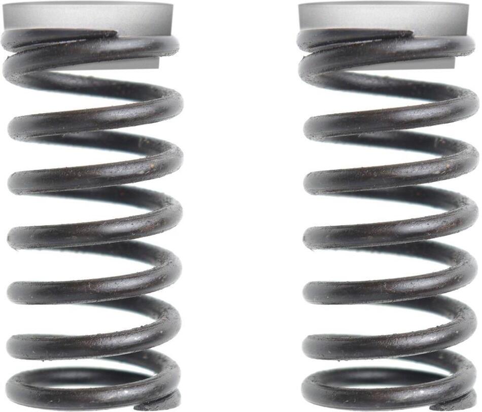SCOOTER FRONT SPRINGS 23S Sencor
